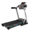 BH Fitness F8 Dual Treadmill